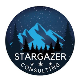 STARGAZER CONSULTING logo