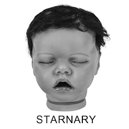 STARNARY logo