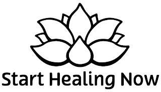 START HEALING NOW logo