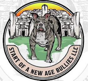 START OF A NEW AGE BULLIES LLC logo