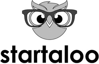 STARTALOO logo