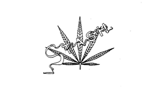 STASH logo