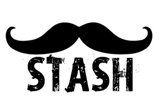 STASH logo