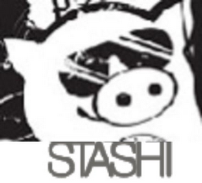 STASHI logo