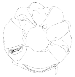 STASHY SCRUNCHIE logo