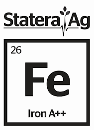 STATERA AG 26 FE IRON A++ logo