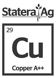 STATERA AG 29 CU COPPER A++ logo
