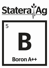 STATERA AG 5 B BORON A++ logo