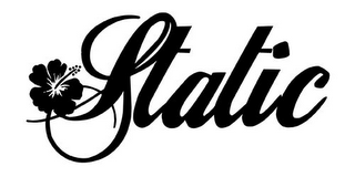 STATIC logo