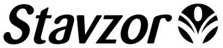 STAVZOR V logo