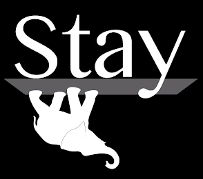 STAY logo