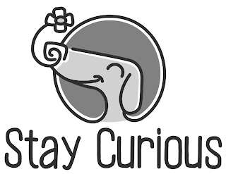 STAY CURIOUS logo