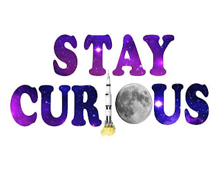 STAY CURIOUS logo