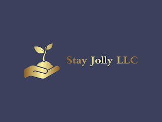 STAY JOLLY LLC logo