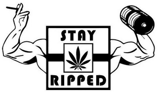 STAY RIPPED logo