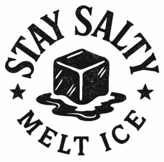 STAY SALTY MELT ICE logo