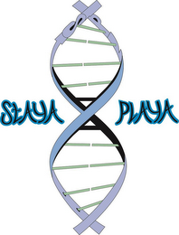 STAYA PLAYA logo