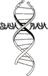 STAYA PLAYA logo