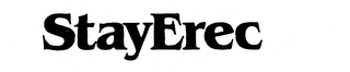 STAYEREC logo