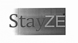 STAYZE logo