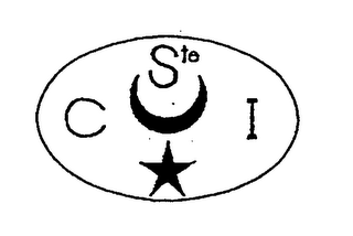 STE CI logo