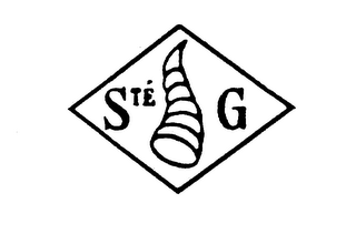 STE G logo