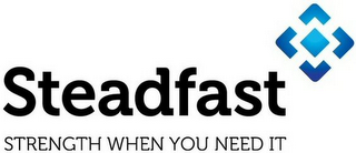 STEADFAST STRENGTH WHEN YOU NEED IT logo