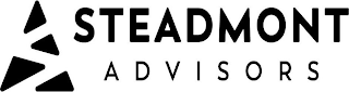 STEADMONT ADVISORS logo