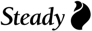 STEADY logo