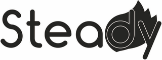 STEADY logo