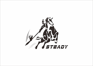 STEADY logo