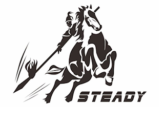 STEADY logo