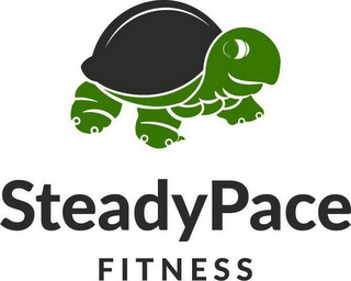 STEADYPACE FITNESS logo