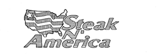 STEAK N' AMERICA logo