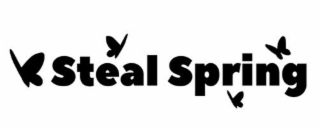 STEAL SPRING logo