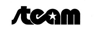 STEAM logo
