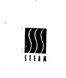 STEAM logo