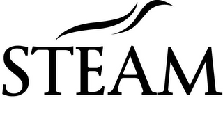 STEAM logo