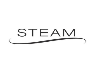STEAM logo