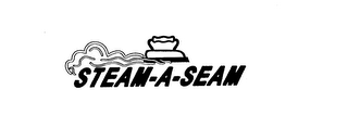 STEAM-A-SEAM logo