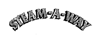 STEAM-A-WAY logo