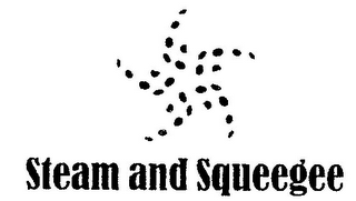 STEAM AND SQUEEGEE logo