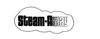 STEAM-AWAY logo