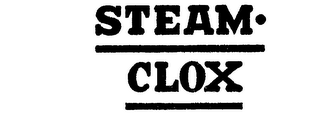 STEAM-CLOX logo