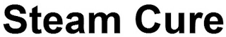 STEAM CURE logo