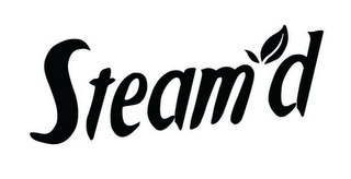 STEAM D logo