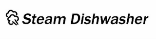 STEAM DISHWASHER logo