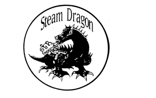 STEAM DRAGON logo