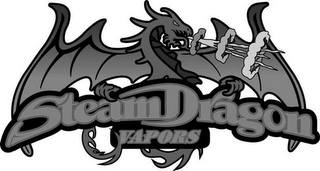 STEAM DRAGON VAPORS logo