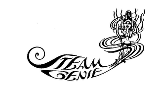 STEAM GENIE logo